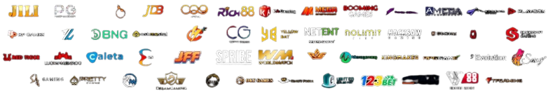 GAME PROVIDERS